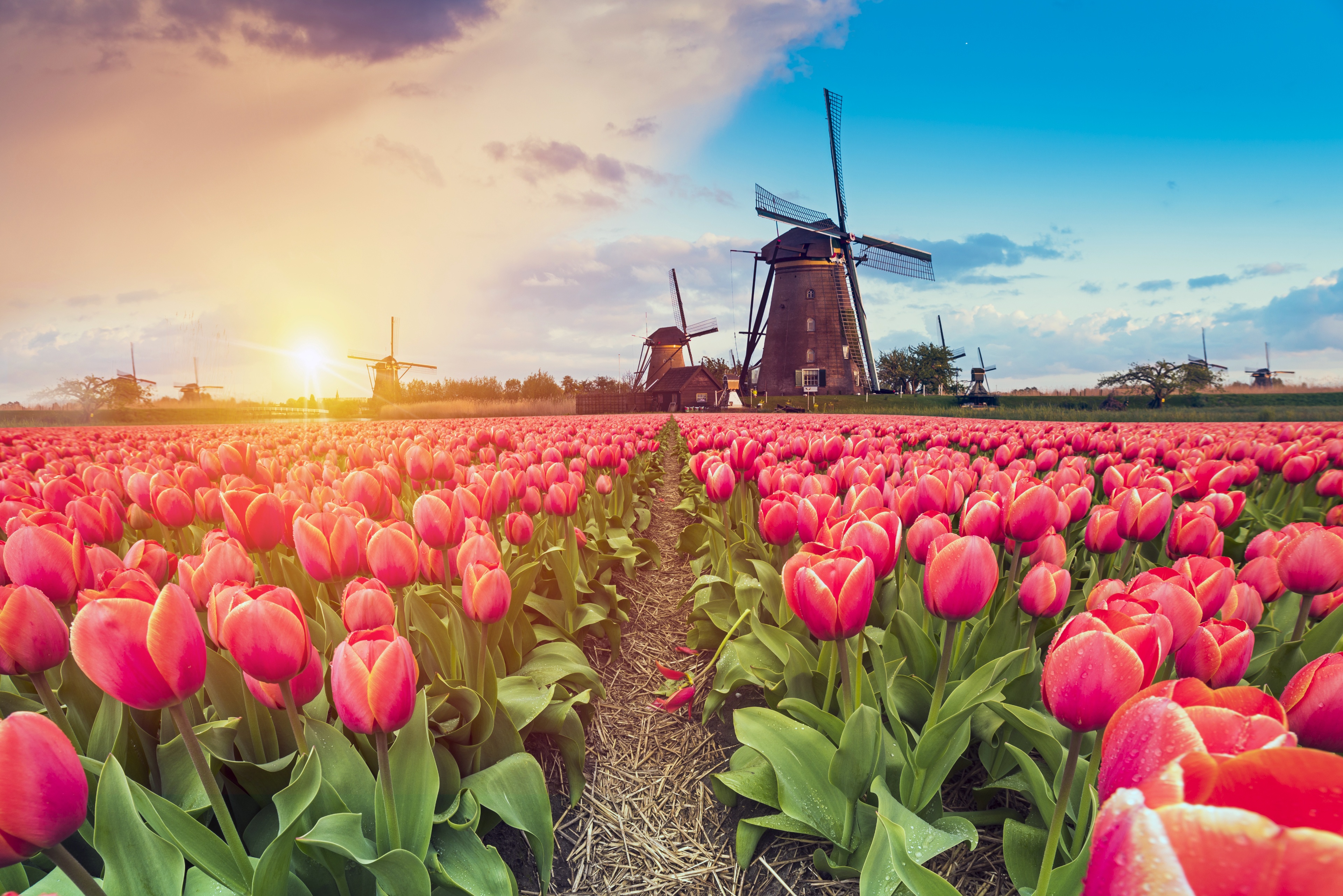 Netherlands